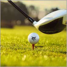 Sports and Outdoor
