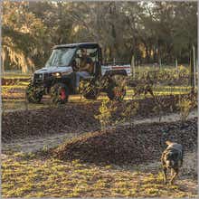 Land Ready