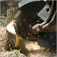 Stump Grinder
